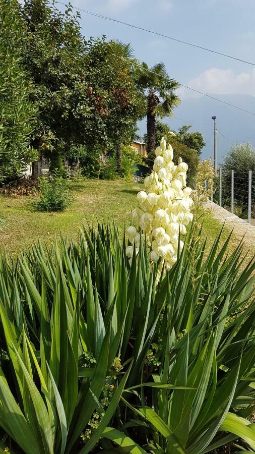 Appartamento Flora Moltrasio Esterno foto
